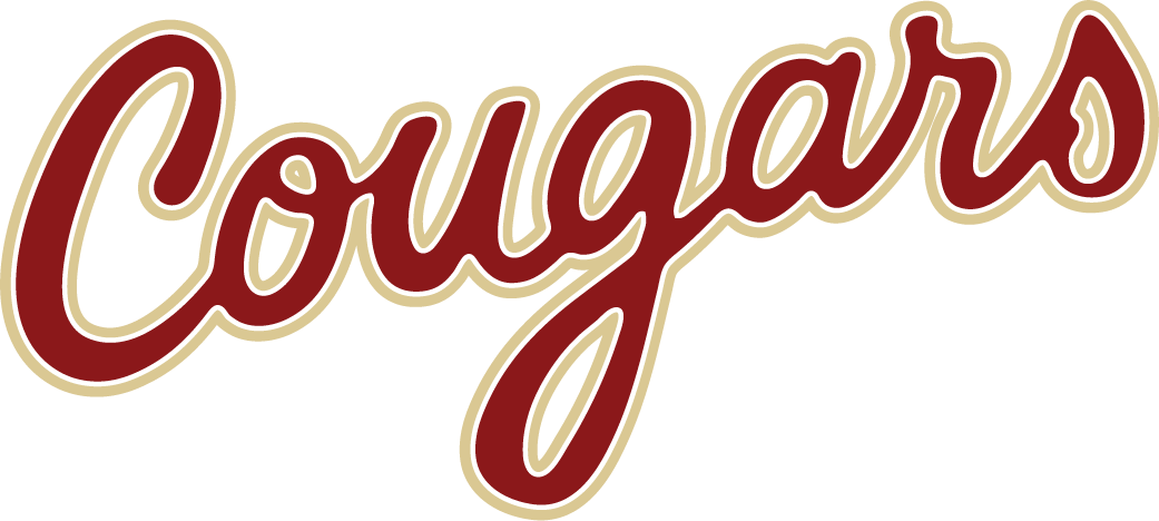 College of Charleston Cougars 2013-Pres Wordmark Logo v2 t shirts iron on transfers